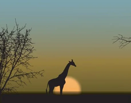 Giraffe wildlife Stock Illustration