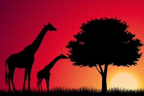 Giraffes in Africa vector background Stock Illustration