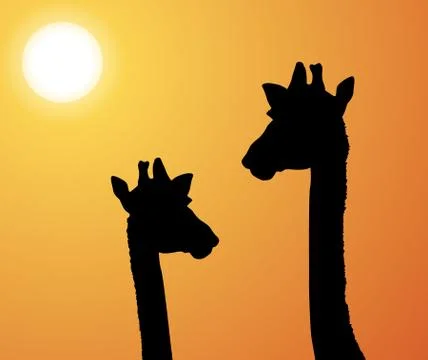 Giraffes in Africa vector background Stock Illustration