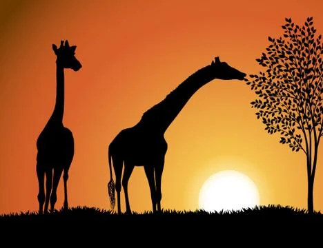 Giraffes in Africa vector background Stock Illustration