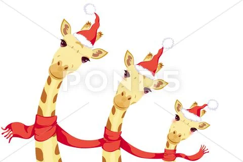 Giraffes celebrating Christmas Stock Illustration