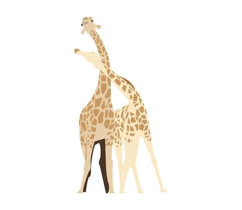 Giraffes fighting on white Stock Illustration
