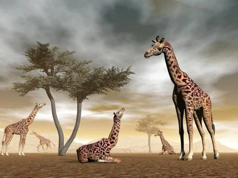 Giraffes in the savannah - 3D render Stock Illustration