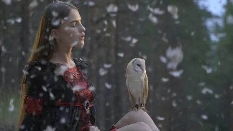 A girl admires an light brown owl while feathers fall from the sky Stock Footage