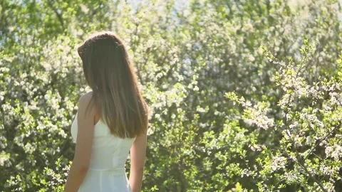Girl and blooming cherry. The girl is standing in the nature blossoming garden Stock Footage