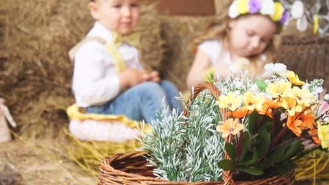Girl and Boy Models Are Photographed With a Chicken Stock Footage 73767448