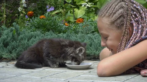 Girl and kitten Stock Footage 80584989