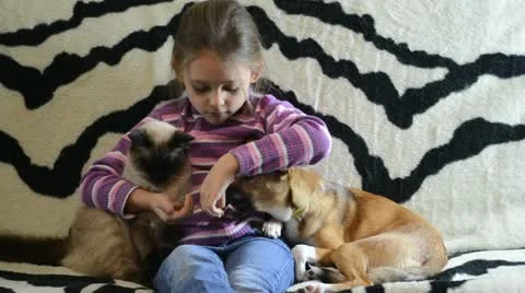 Girl and pets Stock Footage