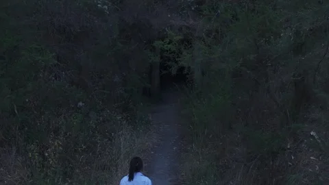 Girl Approaching Mining Tunnel at Warrandyte Park at Twilight Stock Footage 332379703