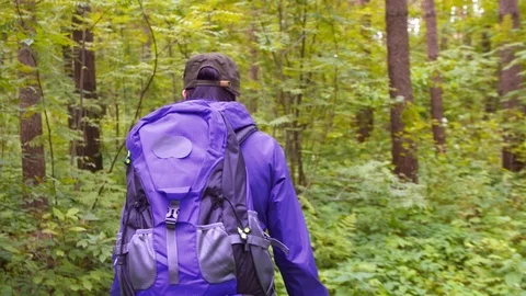 Girl with a backpack is in the green forest Video stock 90672345
