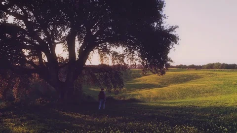 Girl with Backpack Walking in Country Fields at Sunset Stock Footage 92928107