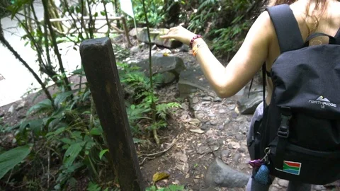 Girl With Backpack Walking Down Path In Wild Jungle Forest [Slow Motion] Stock Footage 88883886