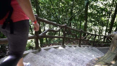 Girl With Backpack Walking Down Stairs In Jungle Forest [Slow Motion] Stock Footage 88883751