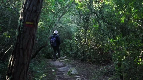Girl with a backpack walking on a path in nature. Stock Footage 150949508