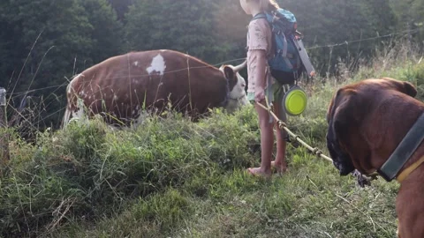 Girl with backpack walking on the rural path with her dog friend. Stock Footage 157907682
