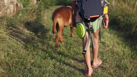 Girl with backpack walking on the rural path with her dog friend. Stock Footage 157907848
