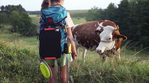 Girl with backpack walking on the rural path with her dog friend. Stock Footage 157910523