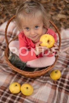 The girl with a basket in a wood in the fall with apples joyful with bright e Stock Photos