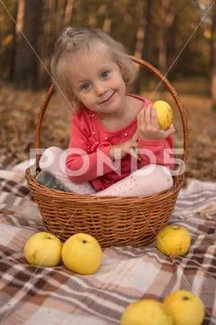 Girl with a basket in the Woods in the fall with apples good with bright eyes Stock Photos