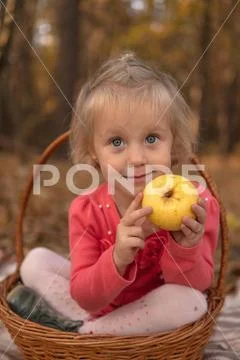 Girl with a basket in the woods in the fall with apples joyful bright positiv Stock Photos