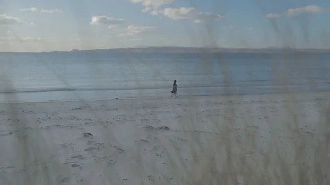 Girl on a Beach Video stock 90861383