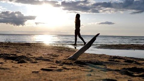 Girl on the beach Vidéo 109480676