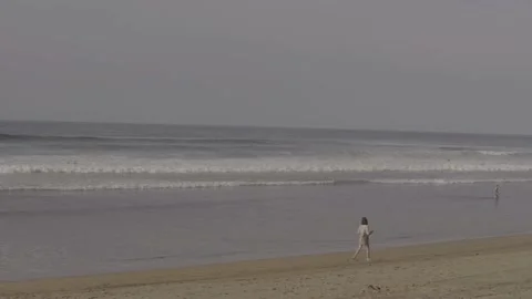 Girl in the beach Stock Footage 239921314