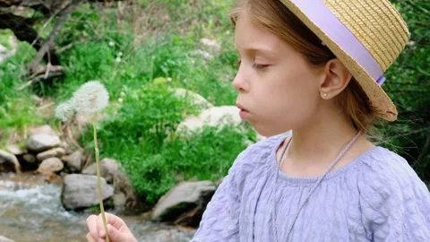 A girl blows on a dandelion. Stock Footage 273023706