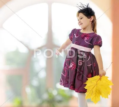 Girl with a bouquet of maple leaves Stock Photos