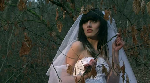 Girl bride Stock Footage 4291122