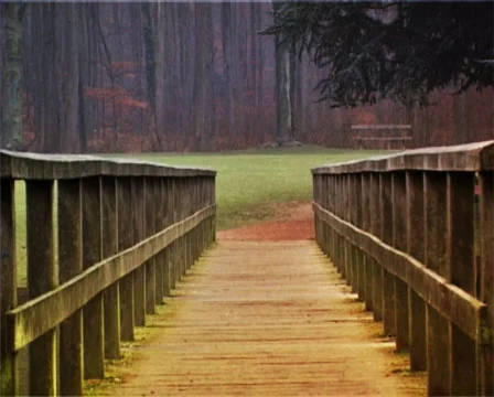 Girl on bridge Видео 290882