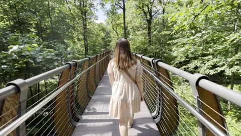 The girl on the bridge Stock Footage 203790883