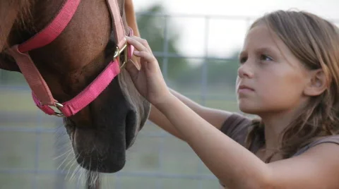Girl brushing her horse Stock Footage