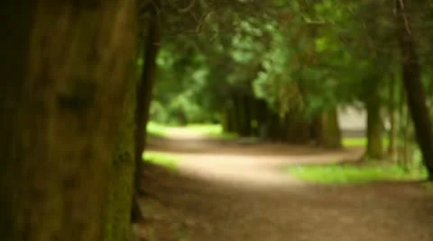 Girl with a camera Stock Footage 11060244