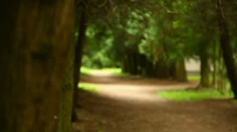 Girl with a camera Stock Footage 11077333