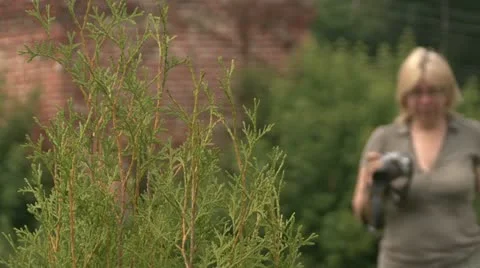 Girl camera Video stock 12049337