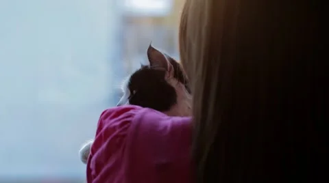 Girl with cat Stock Footage 46751843