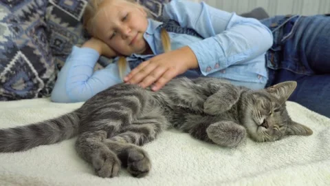 Girl with a cat Stock Footage 238775551