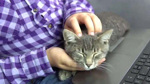 Girl with a cat Stock Footage 238775595