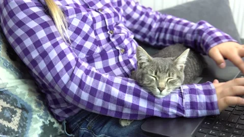 Girl with a cat Stock Footage 238775617