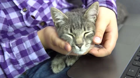 Girl with a cat Stockbeeldmateriaal 238775650