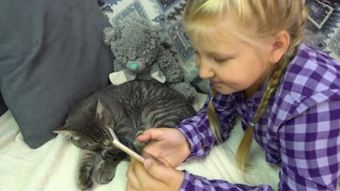 Girl with a cat Stock Footage 238775767