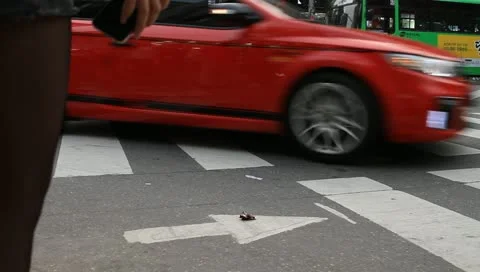 Girl with cellular phone and people on crosswalk Stock Footage