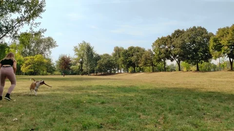 Girl is chasing her dog while he is running with a stick Stock Footage 95655931
