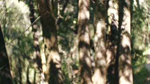 Girl Checking Pulse On The Hike Stock Footage 77334300