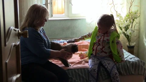 Girl child and grandmother caress and stroke cat on couch in bedroom Stock Footage