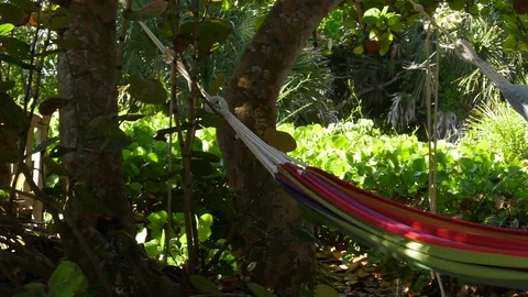 Girl chillin in hammock while reading a book Stock Footage 106192727