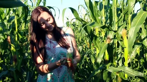Girl cleans the corn in a corn field. Video stock 88734631