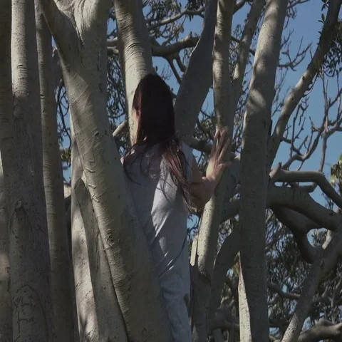Girl Climbing a Tree Stock Footage 69586396