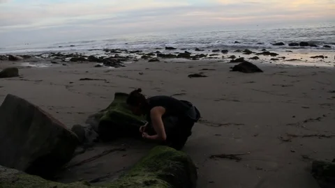 Girl collecting shells Stock Footage 83164770